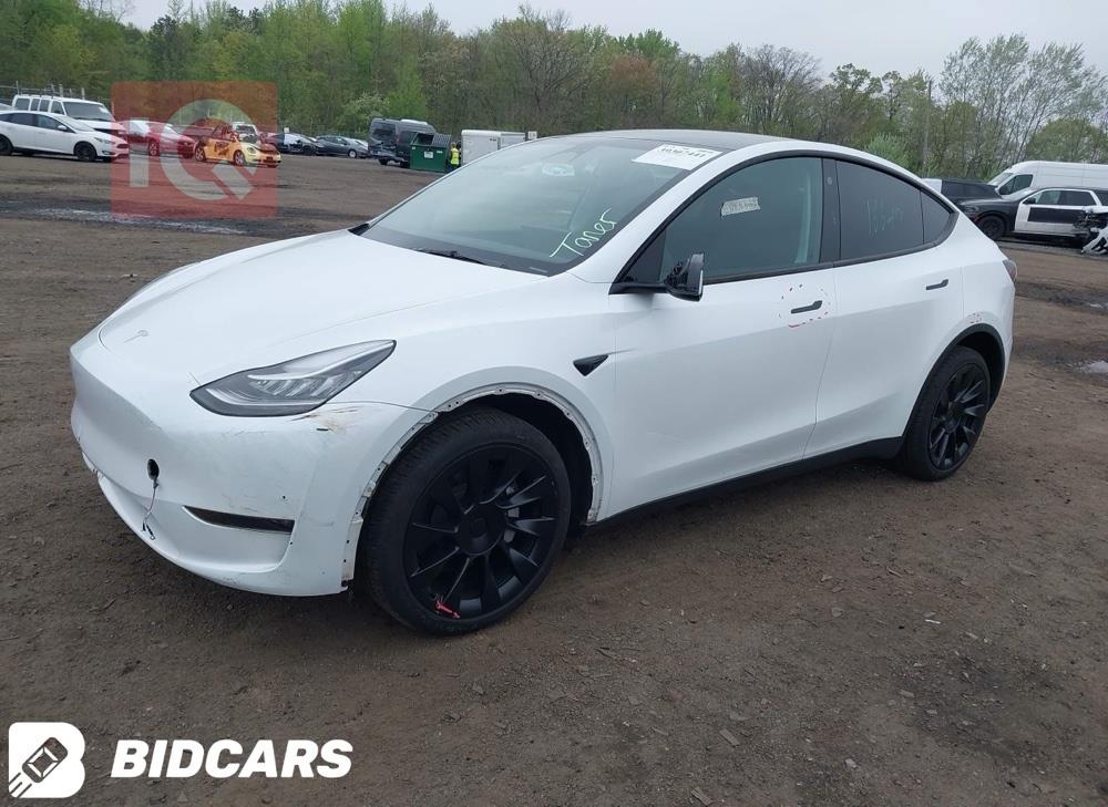 تسلا موديل Y